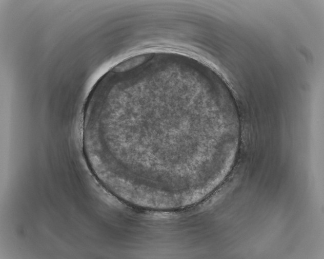 X0000112211522200909181543