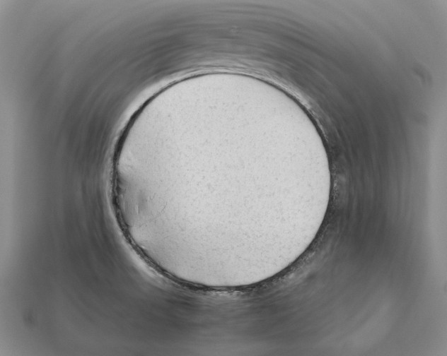 X0000112211523200909181543