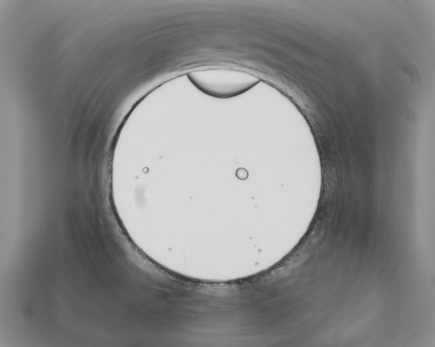 X0000112211526200909181543