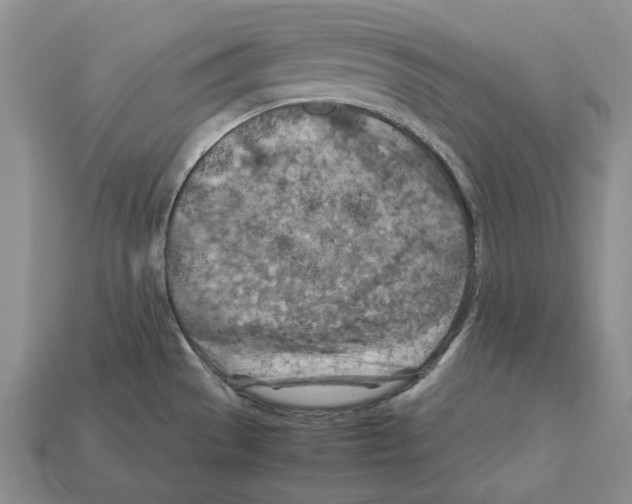 X0000112211529200909181543