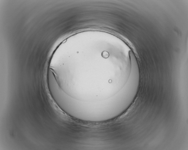 X0000112211530200909181543