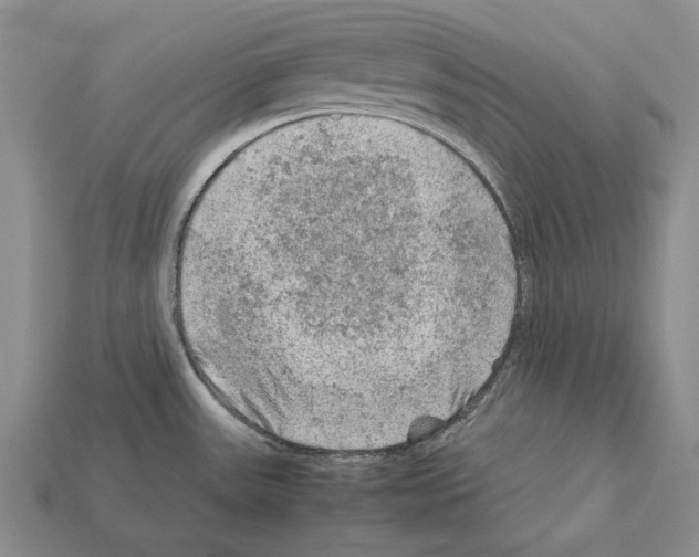 X0000112211531200909181543