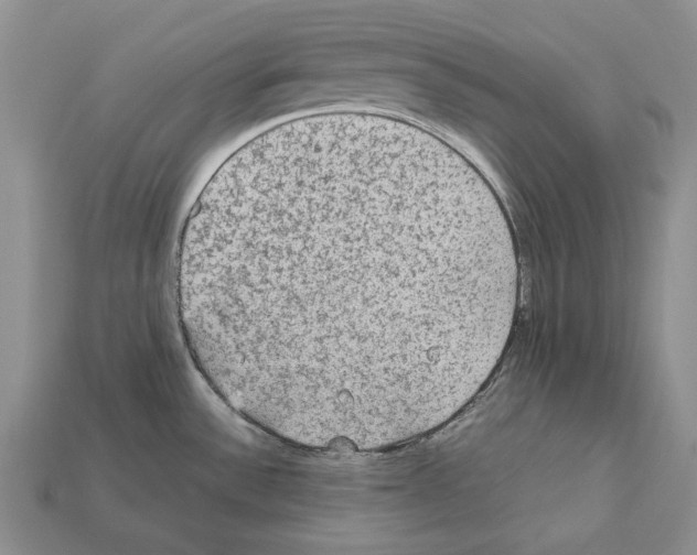 X0000112211532200909181543