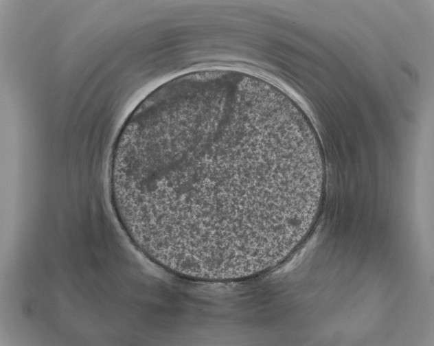 X0000112211533200909181543