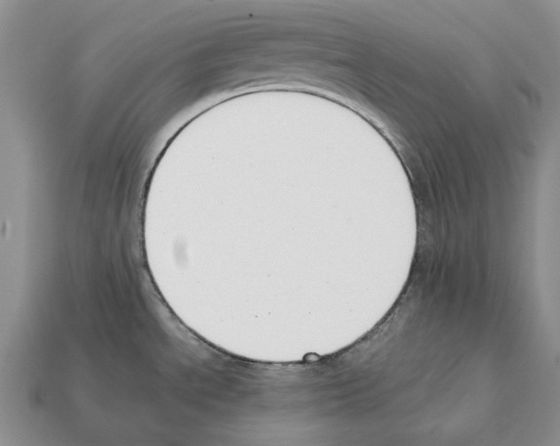 X0000112211534200909181543