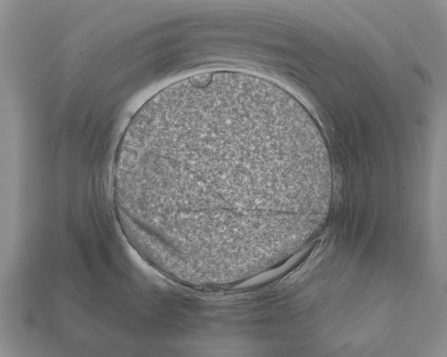 X0000112211535200909181543