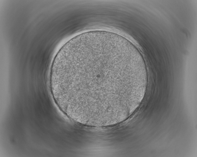 X0000112211536200909181543