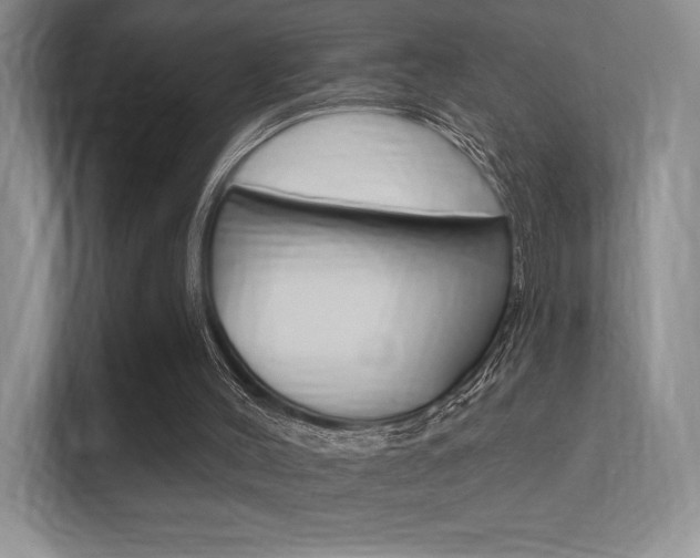 X0000112350004200908131023