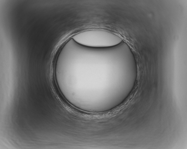 X0000112350005200908131023
