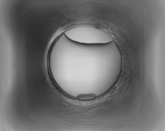 X0000112350006200908131023