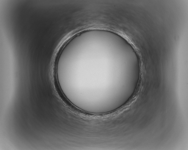 X0000112350007200908131023