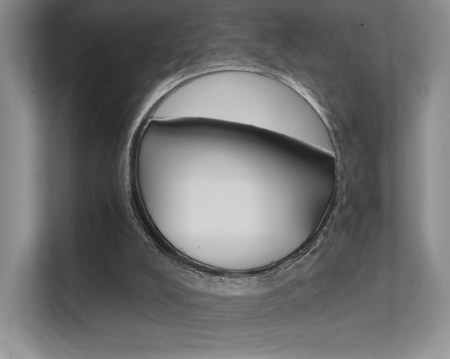 X0000112350008200908131023