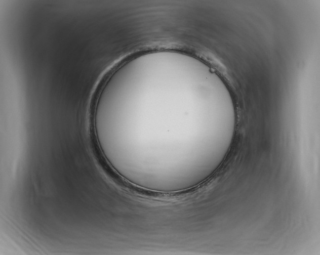 X0000112350012200908131023