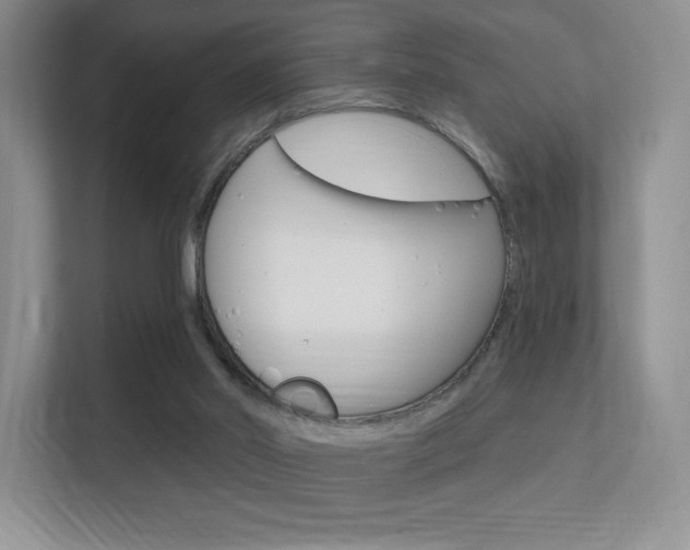 X0000112350014200908131023