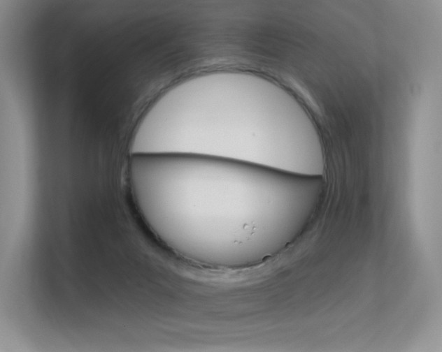 X0000112350023200908131023