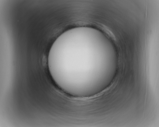 X0000112350025200908131023