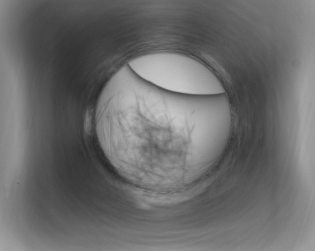 X0000112350026200908131023