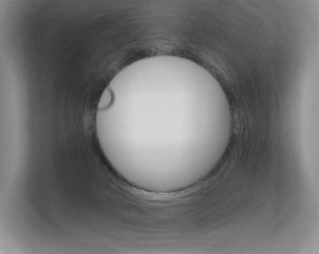 X0000112350034200908131023