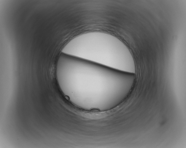 X0000112350036200908131023