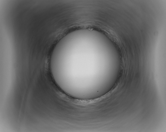 X0000112350037200908131023