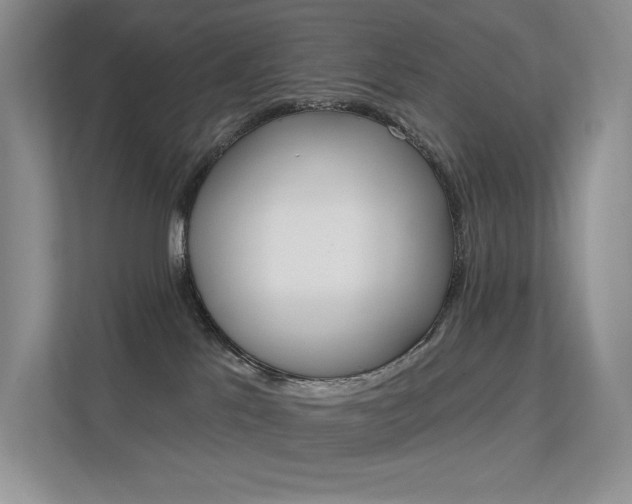 X0000112350041200908131023