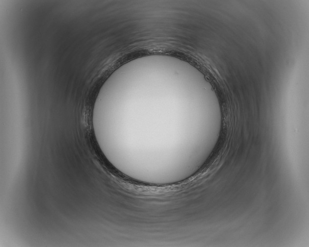 X0000112350044200908131023