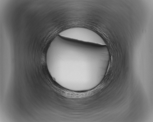 X0000112350048200908131023