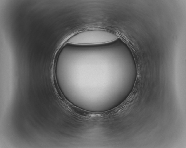 X0000112350052200908131022
