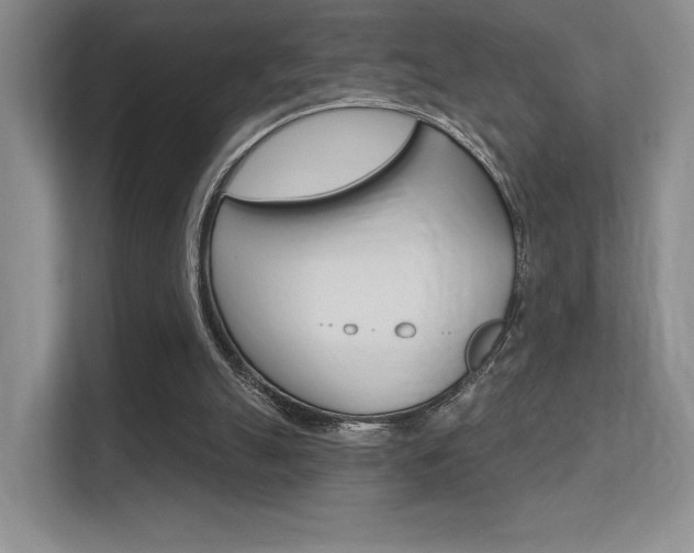 X0000112350055200908131022