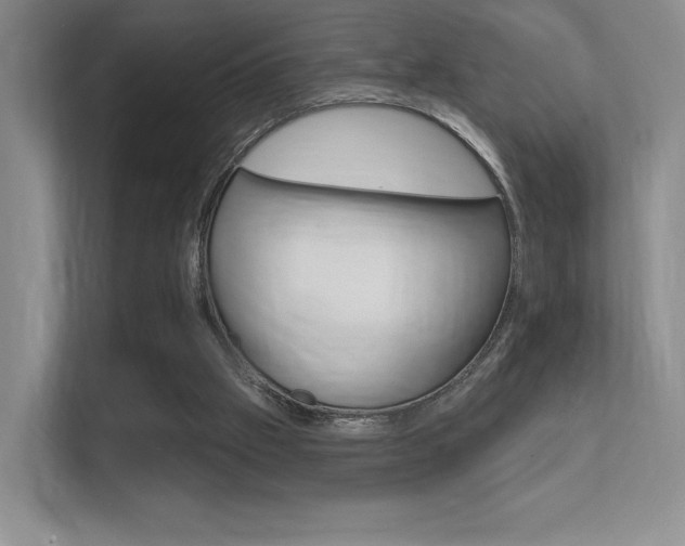 X0000112350057200908131022