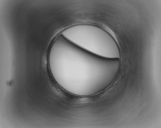 X0000112350059200908131022