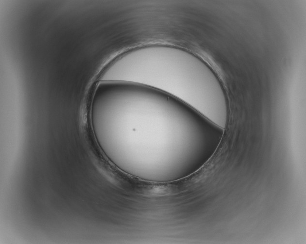 X0000112350060200908131022