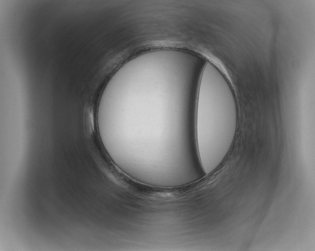 X0000112350061200908131022