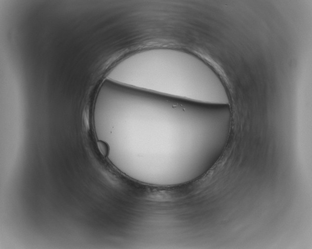 X0000112350062200908131022