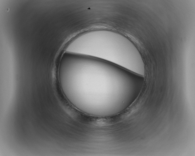 X0000112350064200908131022