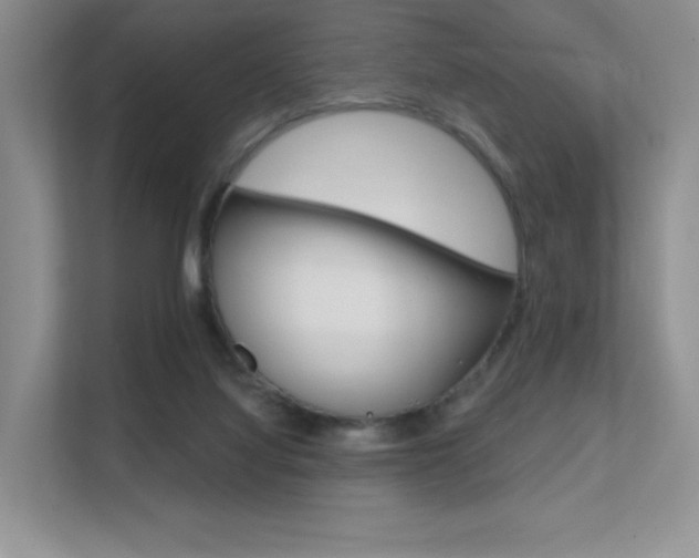 X0000112350068200908131022