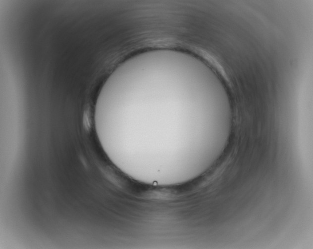 X0000112350069200908131022