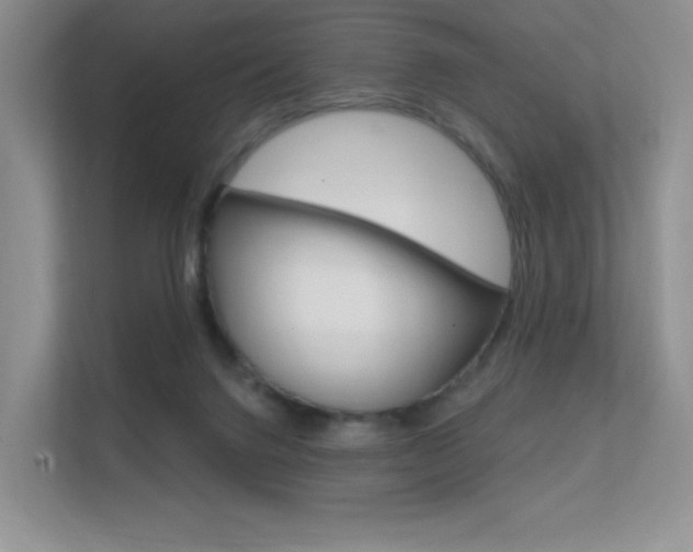 X0000112350072200908131022