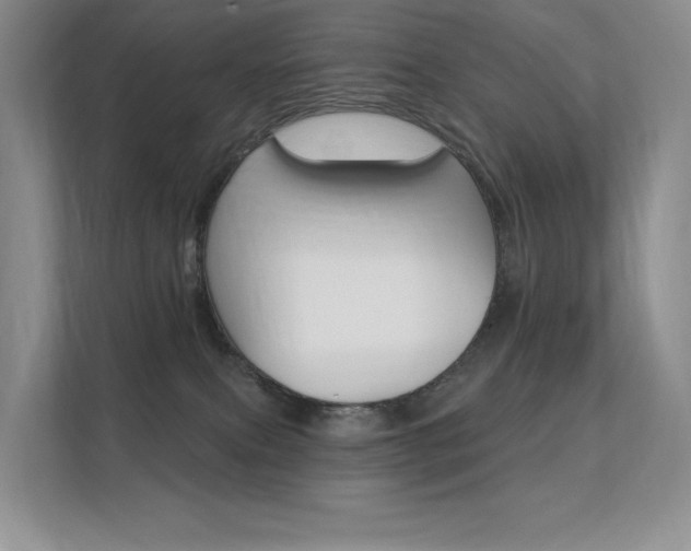 X0000112350087200908131023