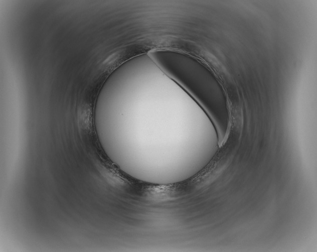 X0000112350092200908131023