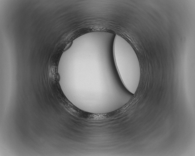 X0000112350093200908131023