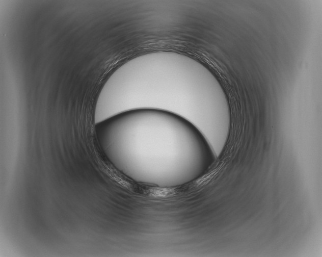 X0000112350096200908131023