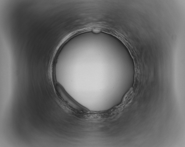 X0000112350100200908131022