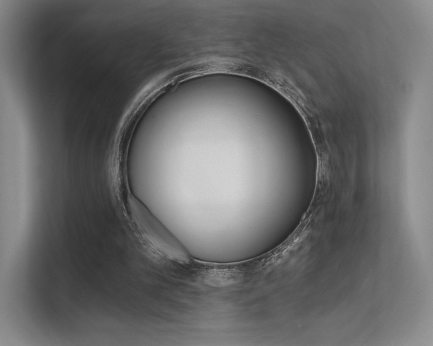 X0000112350101200908131022