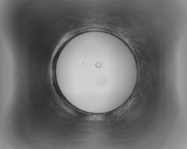 X0000112350102200908131022