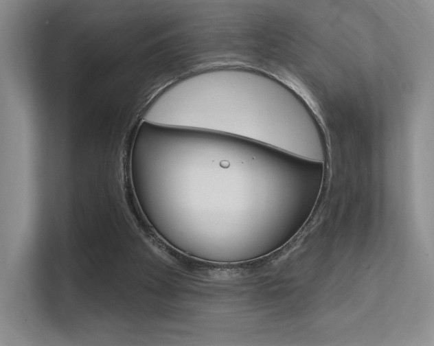 X0000112350105200908131022