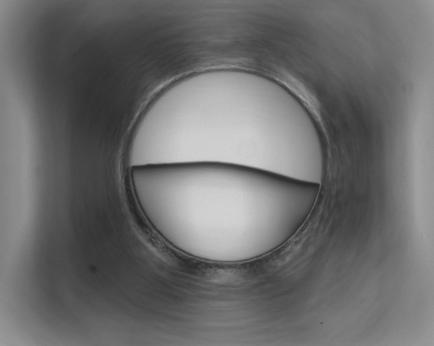 X0000112350107200908131022