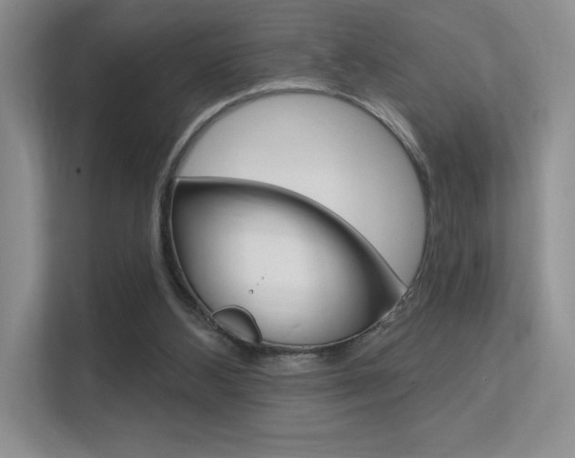 X0000112350108200908131022
