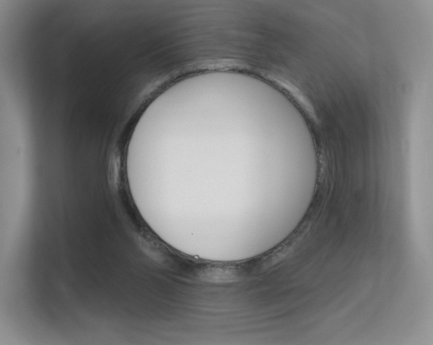 X0000112350110200908131022