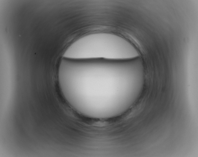 X0000112350119200908131022